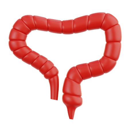 Intestine  3D Icon