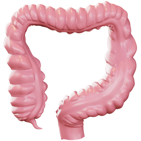 Intestine  3D Icon