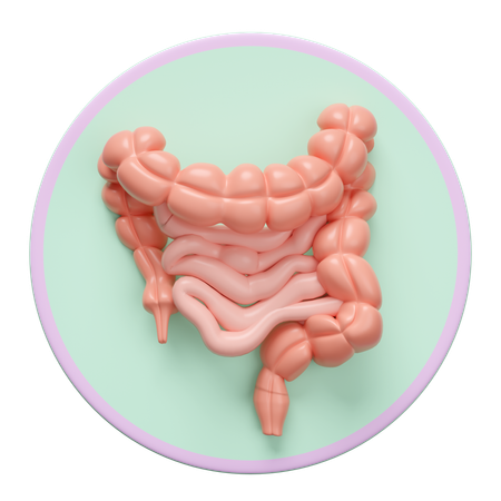 Intestine  3D Icon