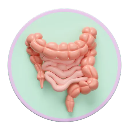Intestine  3D Icon