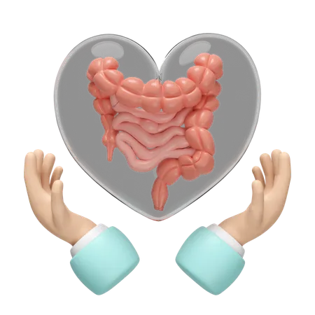 Intestine Care  3D Icon