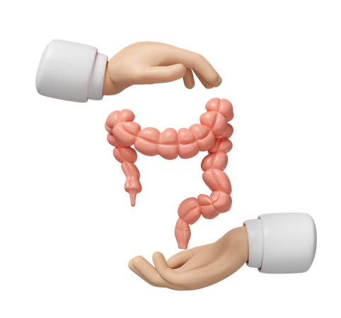 Intestine Care  3D Icon