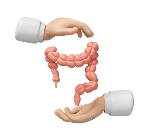 Intestine Care  3D Icon