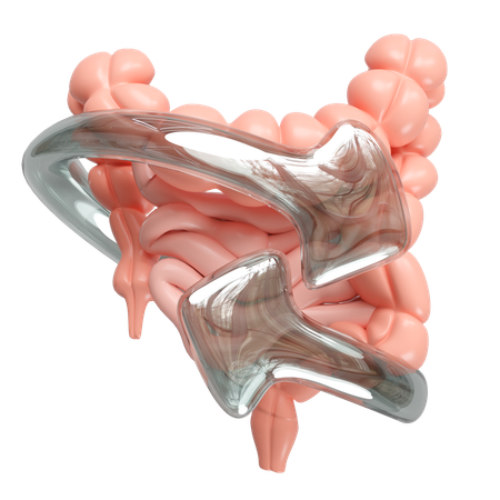 Intestine Health  3D Icon