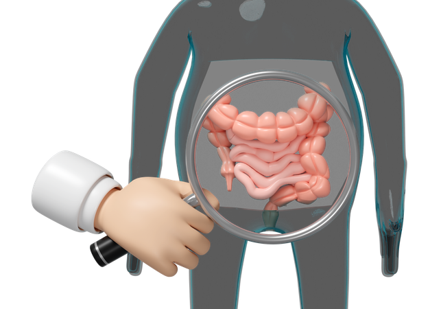 Intestine Health  3D Icon