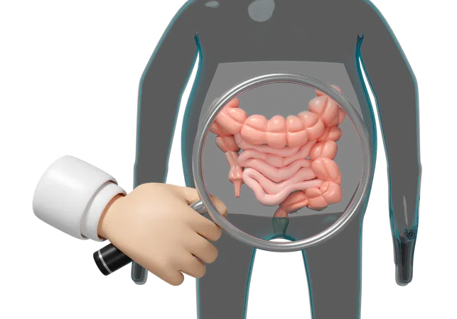 Intestine Health  3D Icon