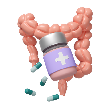 Intestine Medicine  3D Icon