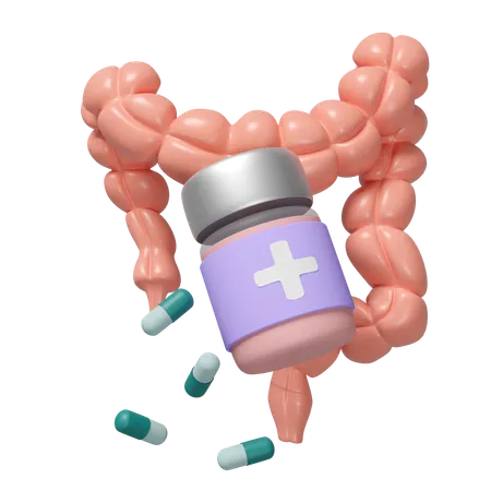 Intestine Medicine  3D Icon