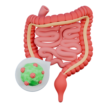 Intestines  3D Icon
