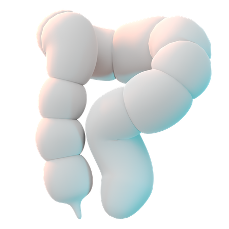 Intestines  3D Icon