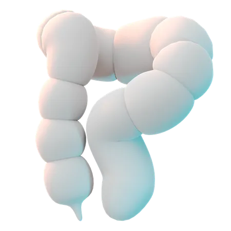 Intestines  3D Icon