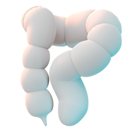 Intestines  3D Icon
