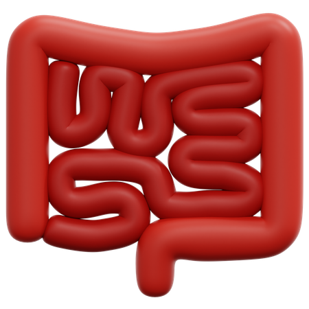 Intestino  3D Icon