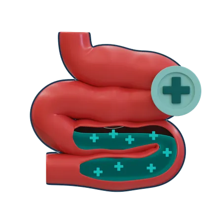 Intestinos sanos  3D Icon