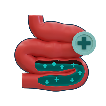 Intestinos saudáveis  3D Icon