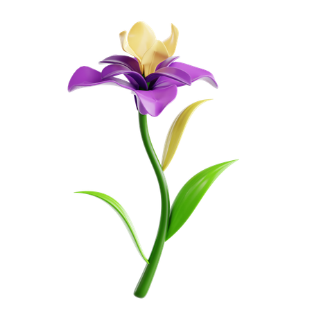 Iris  3D Icon