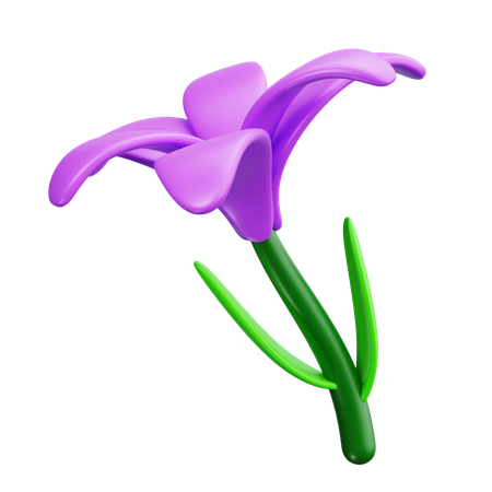 Iris  3D Icon