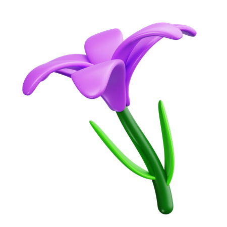 Iris  3D Icon