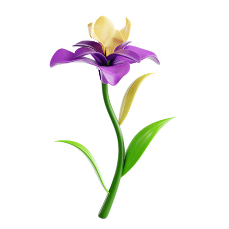 Íris  3D Icon