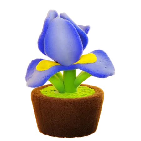 Iris Blume  3D Icon