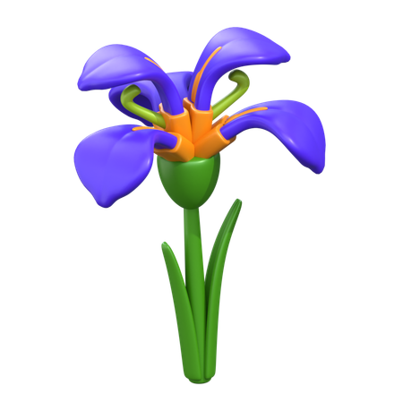 Iris  3D Icon