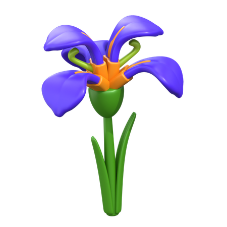 Iris Flower  3D Icon