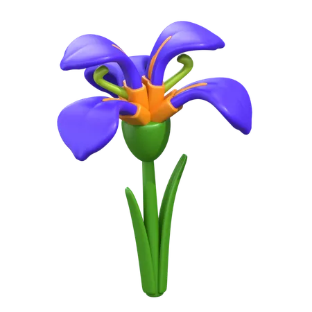 Iris Flower 3 D Icon 3D Icon