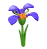 Iris Flower