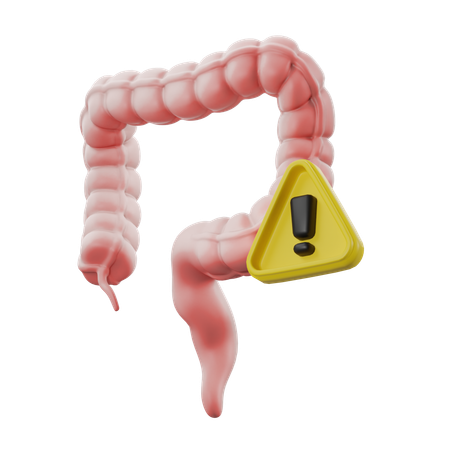 Irritable bowel  3D Icon