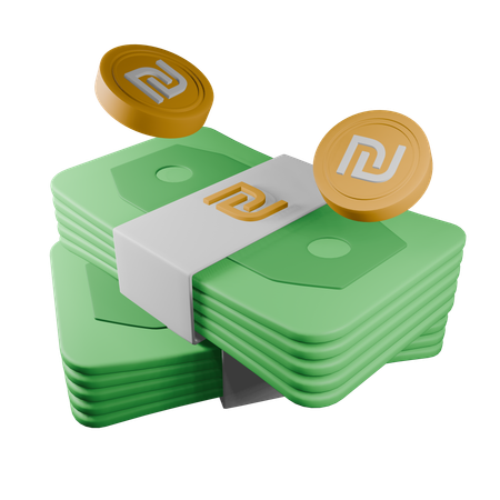 Israeli new shekel  3D Icon