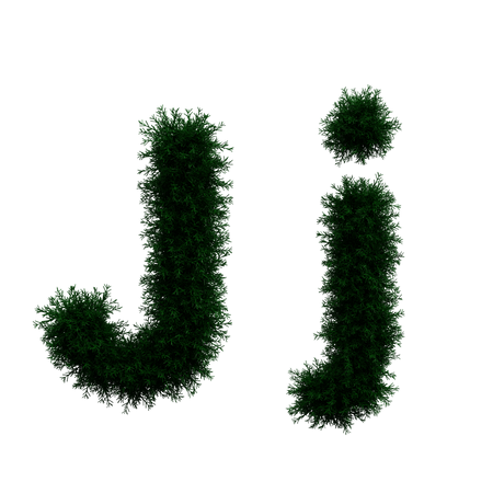 J  3D Icon