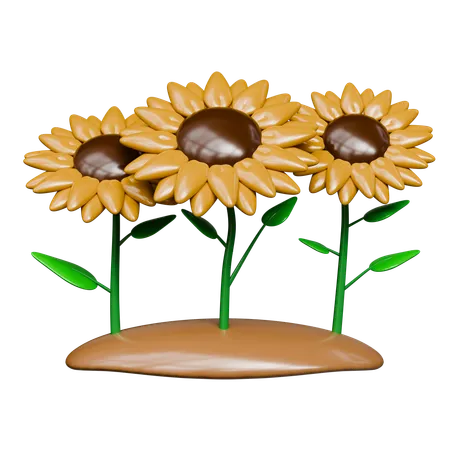 Jardín de girasoles  3D Icon