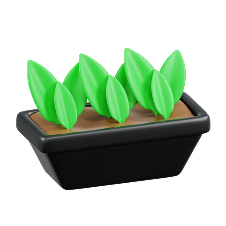 Plantes de jardin  3D Icon