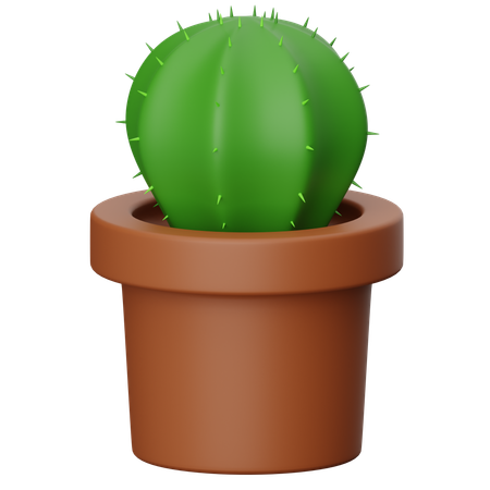 Florero de cactus  3D Icon