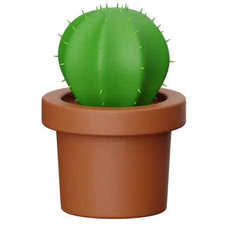 Florero de cactus  3D Icon