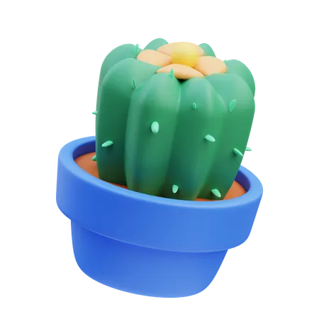 Florero de cactus  3D Icon