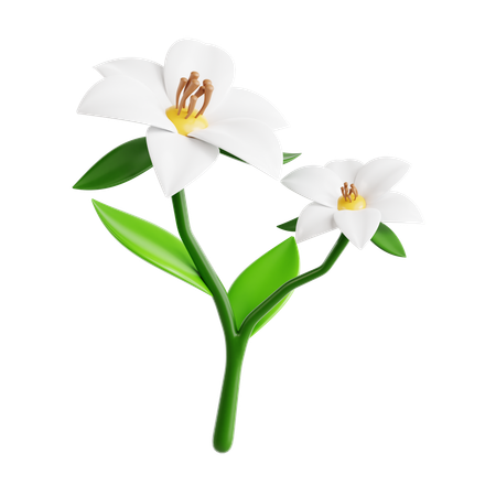 Jasmim  3D Icon