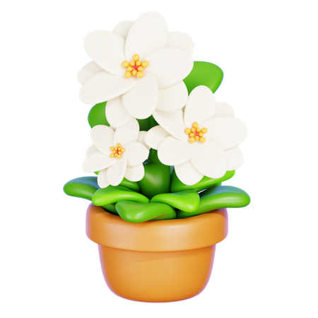 Jasmin-Blume  3D Icon