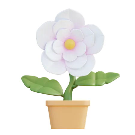 Jasmine Flower  3D Icon