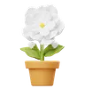 Jasmine Flower Pot