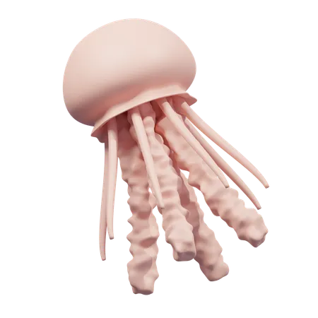 Jelly Fish  3D Icon