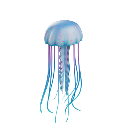 Jelly Fish  3D Icon