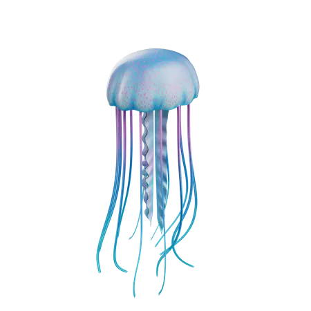 Jelly Fish  3D Icon