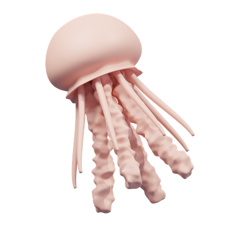 Jelly Fish  3D Icon