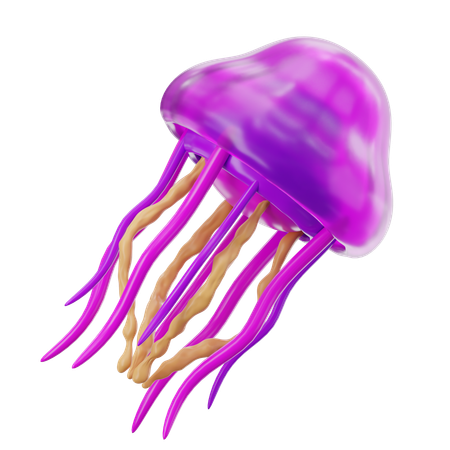 Jellyfish  3D Icon