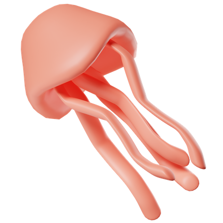 Jellyfish  3D Icon