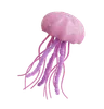 Jellyfish