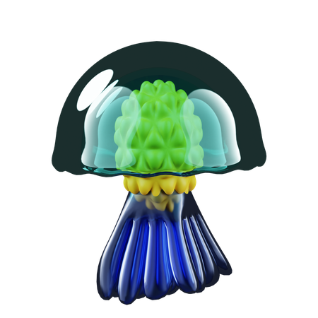 Jellyfish  3D Icon