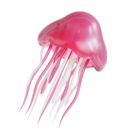 Jellyfish  3D Icon