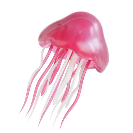 Jellyfish  3D Icon